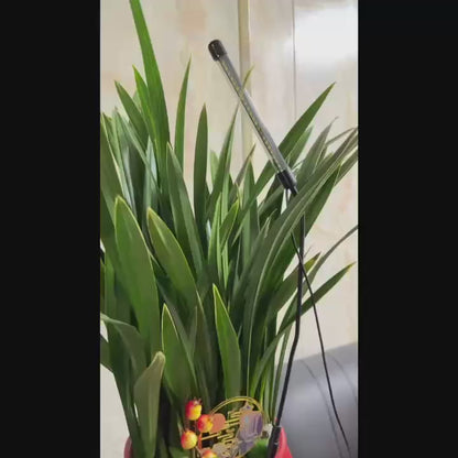 USB Plant Grow Light with Timer - Full Spectrum 6000K Dimmable